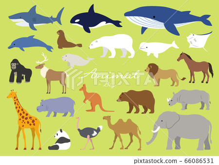 Big animal Big animal 66086531