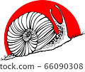 Hand drawn snails. sunset. up. Vector illustration. 66090308