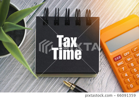 TAX TIME text with fountain pen, decorative plant, 66091359