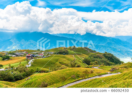Daylily flower farm at Liushidan Mountain in 66092430