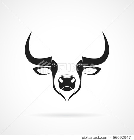 Vector of a bull head design on white background. Vector of a bull head design on white background. 66092947