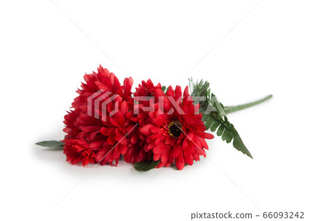 Beautiful artificial flower 66093242
