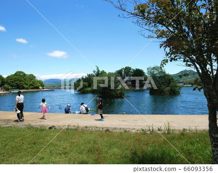 夏季熊本市（熊本縣鹿島市）在浮島池塘玩耍的家庭 66093356