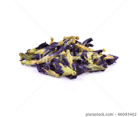 Butterfly pea flower isolated on white background. Butterfly pea flower isolated on white background. 66093402
