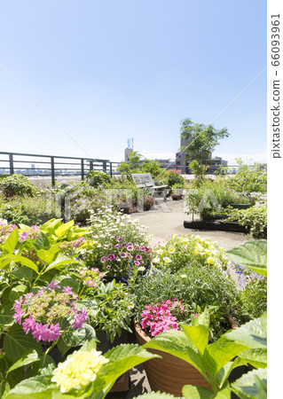 Early summer balconies full of plants, urban gardening 66093961
