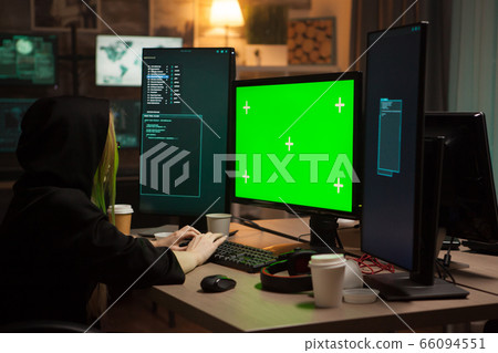 Female hacker wearing a hoodie in front of computer Female hacker wearing a hoodie in front of computer 66094551