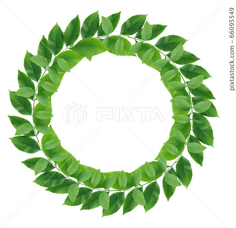 Green Leaves Wreath 66095549