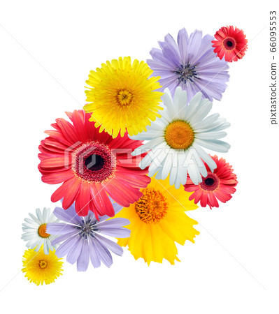 Variety Of Flowers Variety Of Flowers 66095553