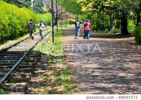 Square of Samukawa log where double cherry blossoms bloom Square of Samukawa log where double cherry blossoms bloom 66095571