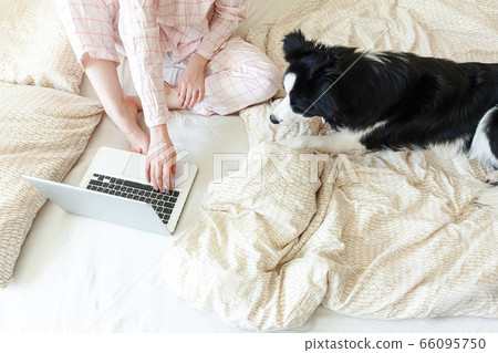 Mobile Office at home. Young woman in pajamas Mobile Office at home. Young woman in pajamas 66095750