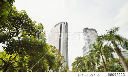 Skyscrapers against the backdrop of palm trees. Shooting in motion. Makati District in Manila. Philippines. 66096223