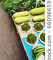 Tropical vegetables for sell 66096659