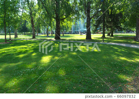 Park in Tampere, Finland 66097832