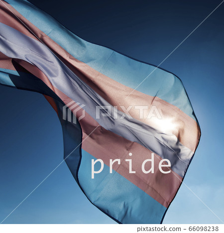 transgender pride flag and word pride 66098238