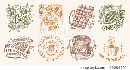 Cocoa Beans and Chocolate. Woman and cup of drink. Vintage badge or logo set for t-shirts 66098891