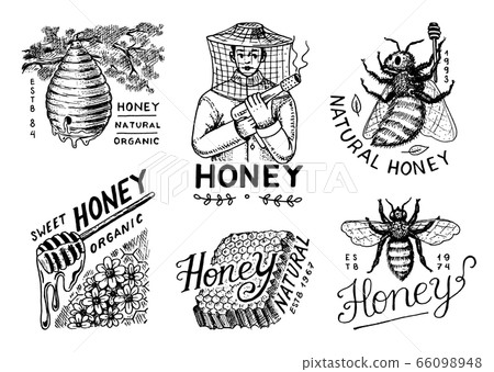 Honey and bees set. Beekeeper man and Honeycombs and hive and apiary. Vintage logo for typography 66098948