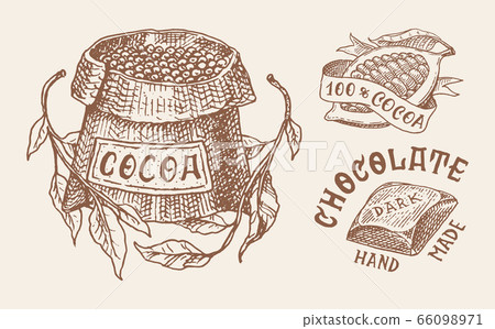 Cocoa Beans and Chocolate. Grains and bag. Vintage badge or logo set for t-shirts, typography, shop 66098971