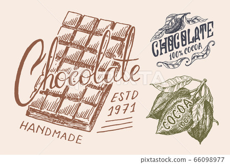 Cocoa Beans and chocolate bar. Vintage badge or logo for t-shirts, typography, shop or signboards Cocoa Beans and chocolate bar. Vintage badge or logo for t-shirts, typography, shop or signboards 66098977