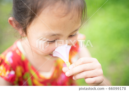 女孩聞到粉紅色花朵的氣味 66099178