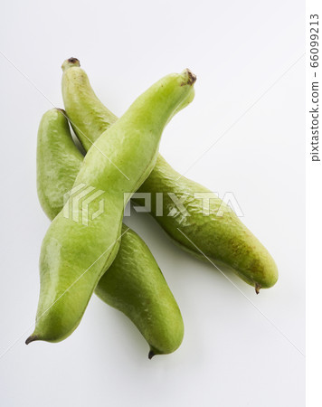 Three beans 66099213