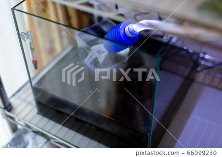 水族館啟動 66099230