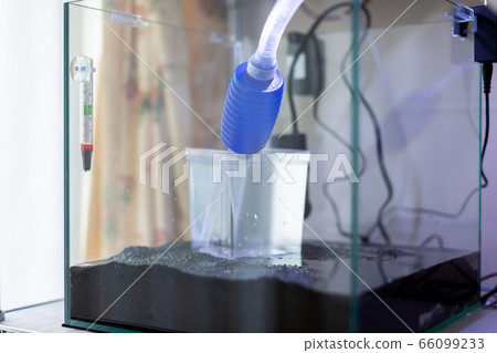 Aquarium start-up Aquarium start-up 66099233