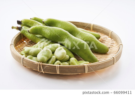 新鮮蠶豆放在漏勺中 66099411