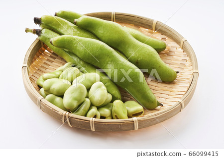 新鮮蠶豆放在漏勺中 66099415