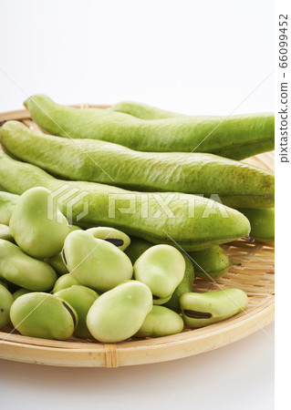 新鮮蠶豆放在漏勺中 66099452