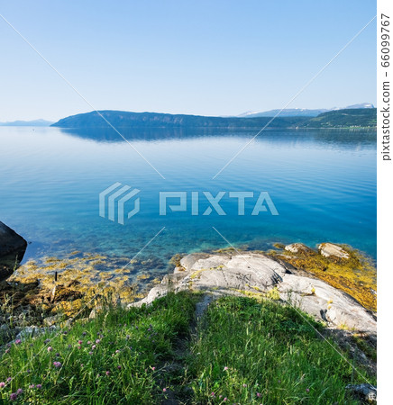 Landscape with flowers of Norway in summer 66099767