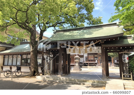 Katsushika Hachimangu Shrine 66099807