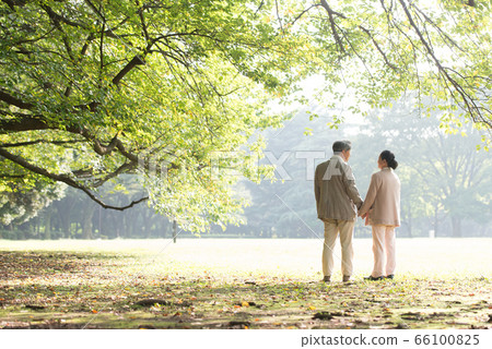 Senior couple walking 66100825