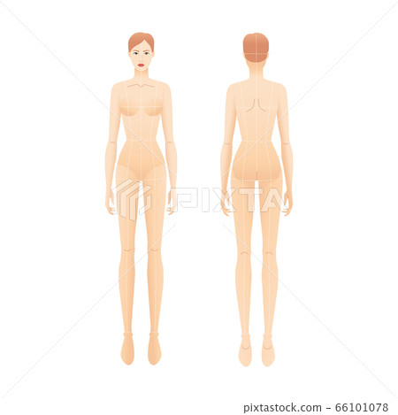 Fashion template of standing women.  66101078