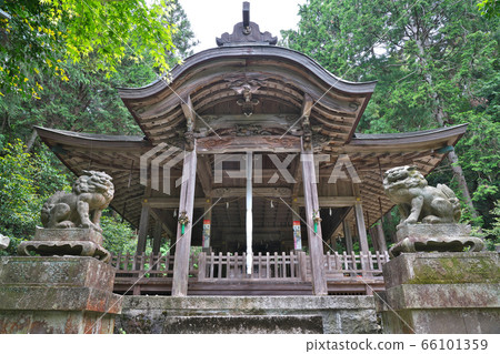 [六所神社]滋賀縣東近江市五所總石島町 66101359
