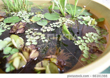 生活小區 66101366