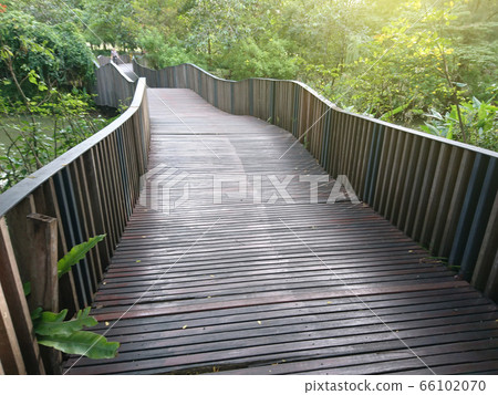 Pathway with bridge in the park 66102070