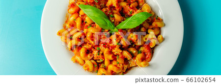Cooked cellentani pasta with cooked chicken breast Cooked cellentani pasta with cooked chicken breast 66102654