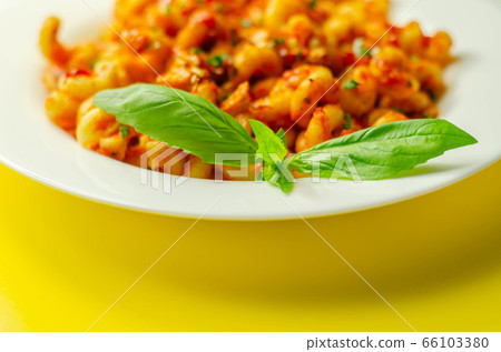 Cooked cellentani pasta with cooked chicken breast Cooked cellentani pasta with cooked chicken breast 66103380