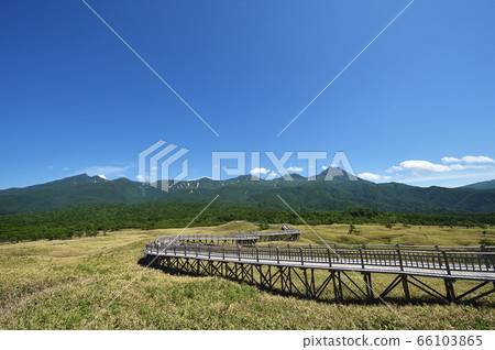 從知床五湖長廊看到的知床山（北海道） 66103865