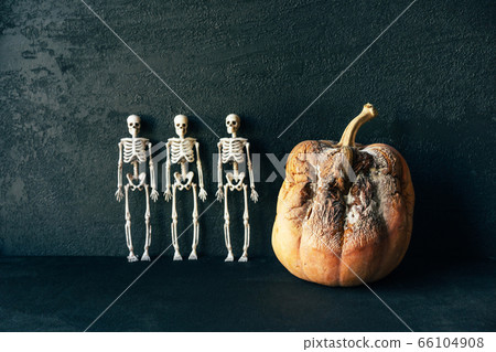 Still life for halloween. 66104908