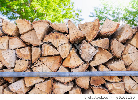 Felled tree pine firewood Felled tree pine firewood 66105159