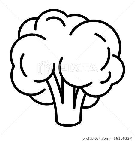 Natural broccoli icon, outline style 66106327