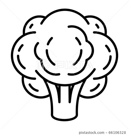 Eco broccoli icon, outline style 66106328