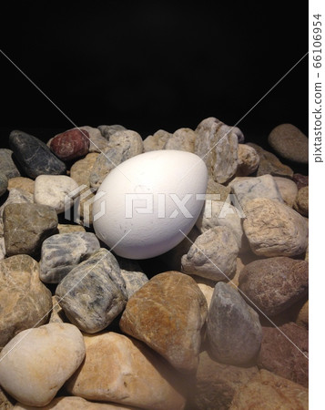 Egg Egg 66106954