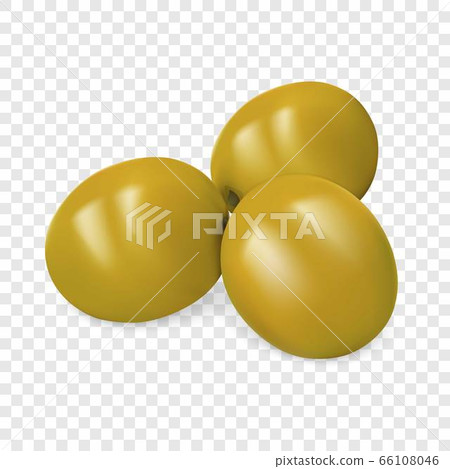 Green olives icon, realistic style Green olives icon, realistic style 66108046