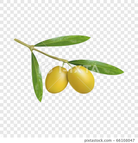 Branch of olives icon, realistic style Branch of olives icon, realistic style 66108047