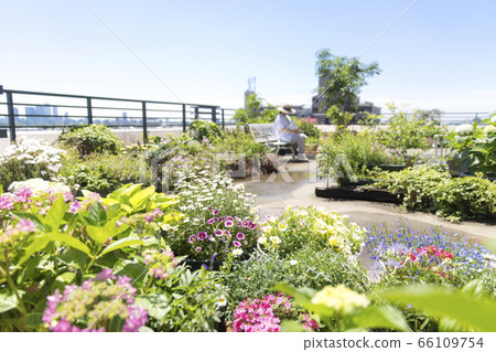 Woman relaxing on the roof balcony, gardening, exterior Woman relaxing on the roof balcony, gardening, exterior 66109754