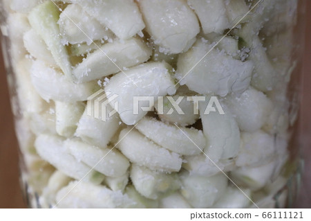 Scallions Scallions 66111121
