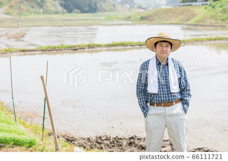 Rice planting Rice planting 66111721