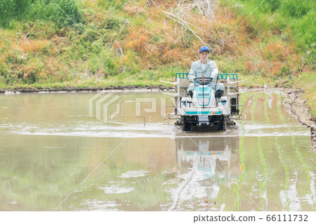一個農民經營水稻插秧機 一個農民經營水稻插秧機 66111732